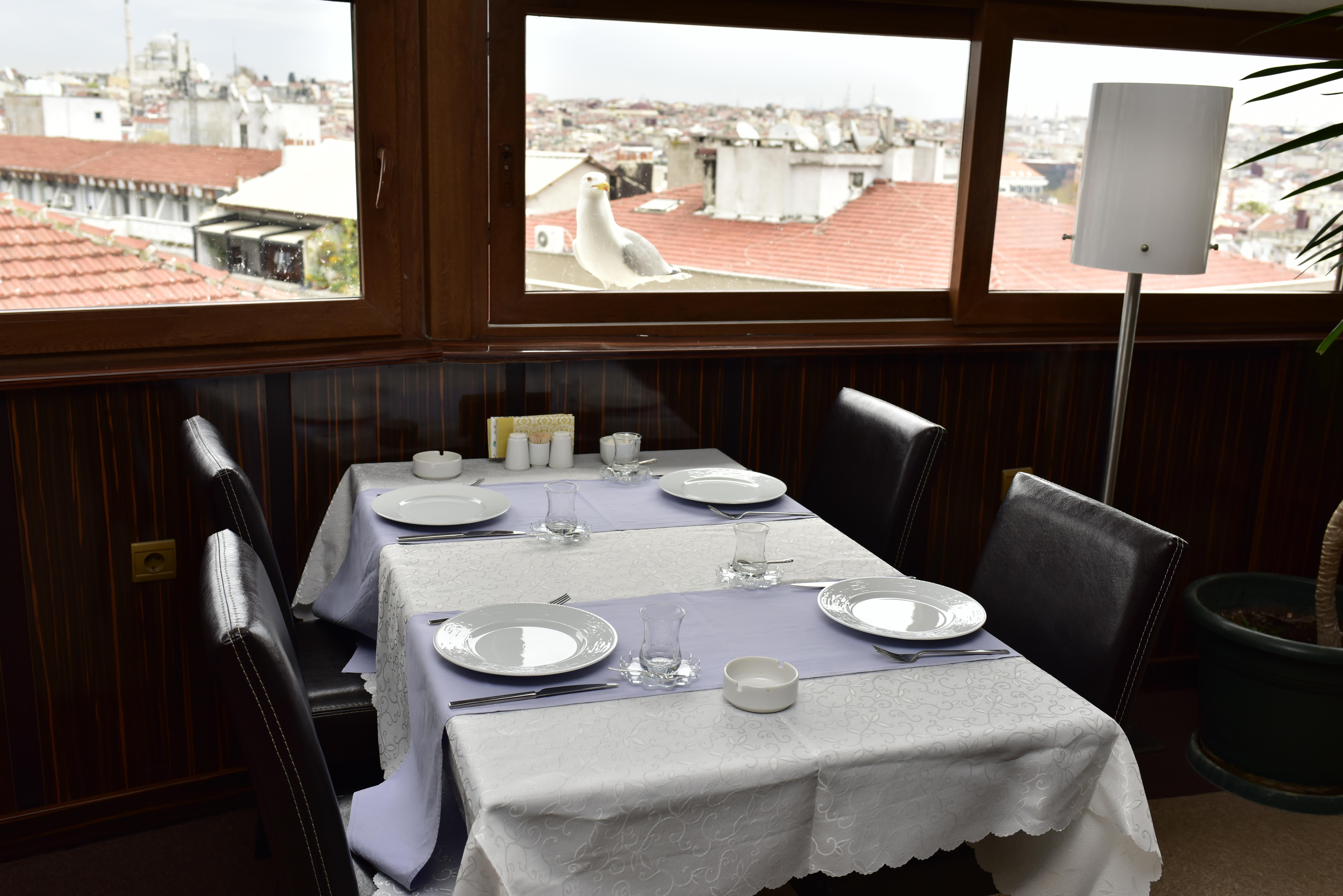 Hotel Topkapi Istanbul Exteriör bild